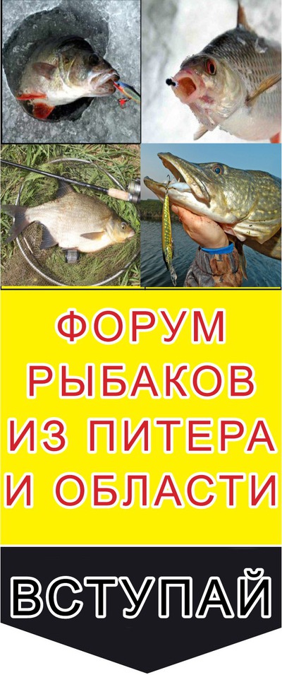 рыбалка в ленинградской области на ладоге