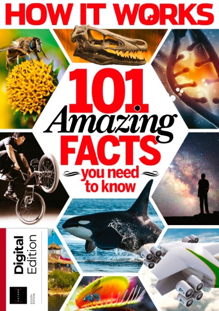 How It Works Book of 101 Amazing Facts You Need To Know