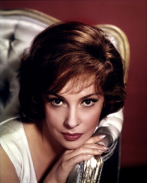 Самая красивая женщина 1960-х по прозвищу Большой Бюст Джина Лоллобриджида Луиджина (или Джина) Лоллобриджида в начале 1960-х годов была одной из главных европейских актрис и международным